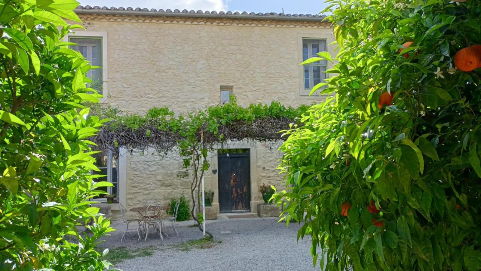 La Taniere 16 Couchages Villa Vergèze Екстериор снимка